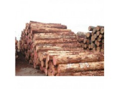 荔浦收购松木企业一览表
