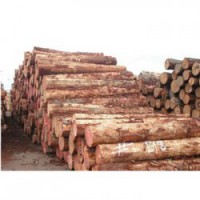 贺州收购松木企业一览表